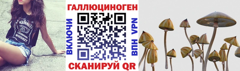 Псилоцибиновые грибы Magic Shrooms  Богучар 