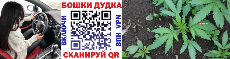 Каннабис семена  Богучар 